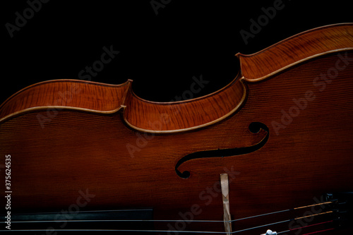 Fragment of a beautiful cello or violin on a black background
