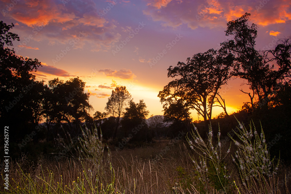 Fototapeta premium Sunset in the Northern California Foothills