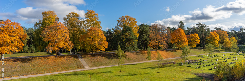 Panorama of autumn trees of bright yellow orange gold color. Fall season background. Rows of beautiful trees grow along the road on sunny day. Autumn view of colorful forest trees crowns foliage.