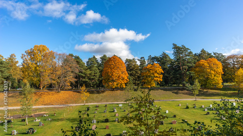 Old forest cemetery in autumn with graves tombstones and crosses. Sunny autumn day .Panorama of autumn trees of bright yellow orange gold color. Fall season background. Rows of beautiful trees. 