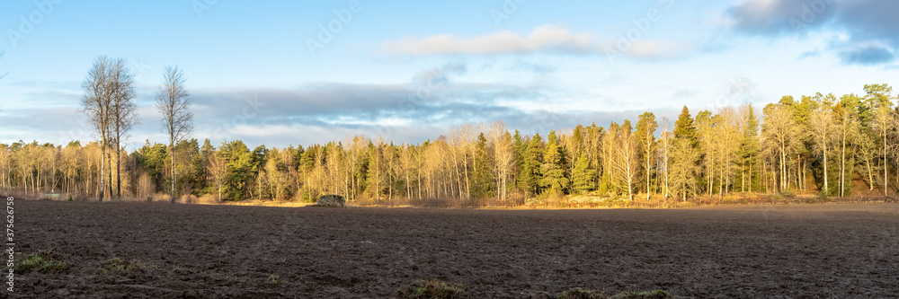 Fototapeta premium Panorama of empty agricultural fields in autumn. The harvest is gathered. The forest belt grows on the edge of the field. The soil is prepared for planting winter crops.