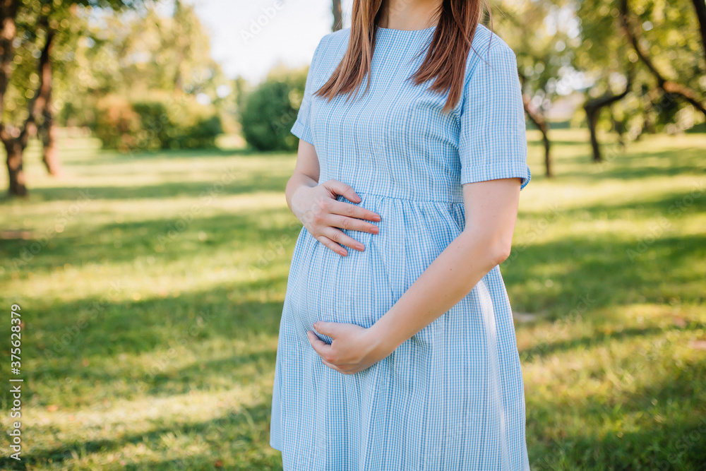 Pregnant girl walking in the park Pregnant girl walking in the park