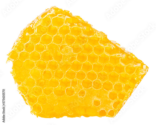 Honeycomb piece. Honey slice isolated on white background