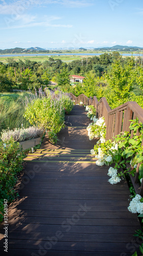 It is a background with a nice sky and plants. I especially like the photos with stairs.