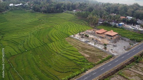 aerial view of beautiful rice fields on the side of the highway photo