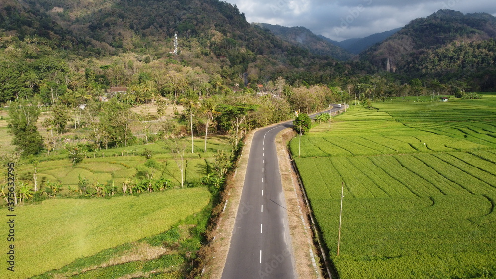 rice fields with beautiful hills in Nanggulan Kulon Progo