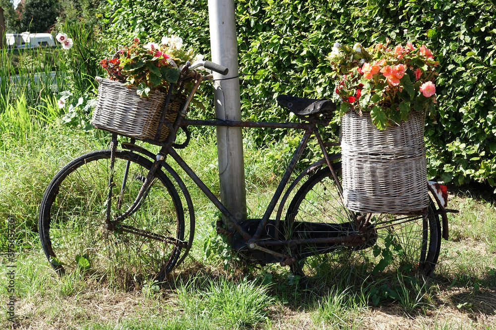 Netherlands. An old bike with flowerpots