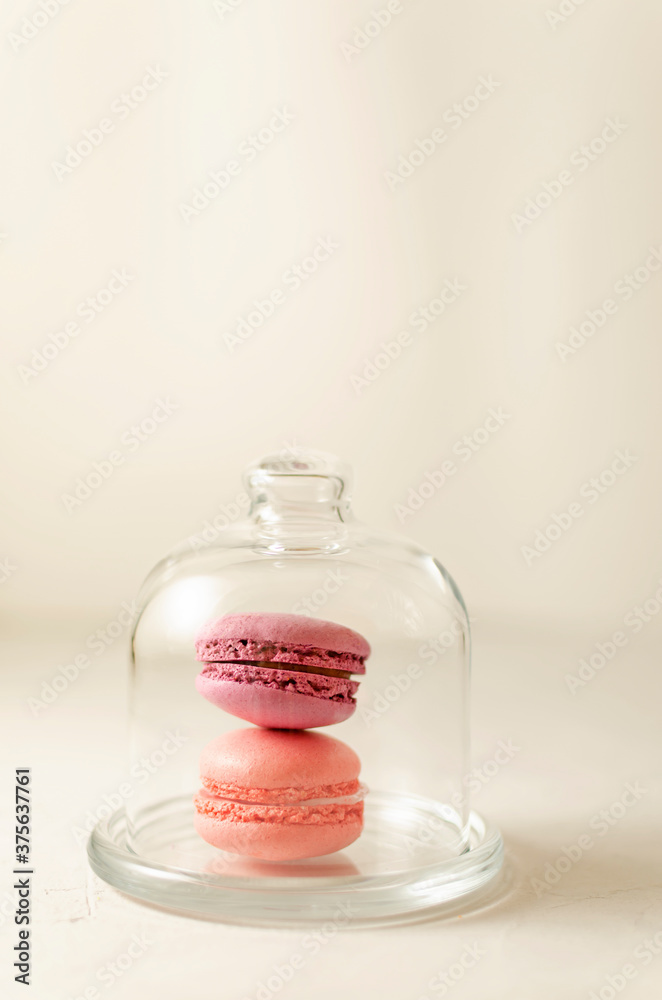 delicate multi-colored macaroons on a dish are closed with a transparent glass lid on a light background. with place for text. delicate multi-colored macaroons on a dish are closed with a transparent glass lid on a light background. with place for text.