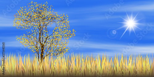 Vector autumn landscape. Grass  forest and blue sky. The sun shines.