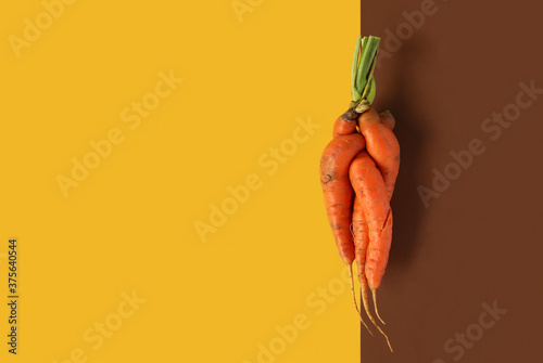 Ugly food banner with copy space. Mutant carrot on double background. Vibrant yellow, brown color. Eco farm harvest, autumn vegetable, natural organic product. Horizontal minimalistic poster, Flat lay