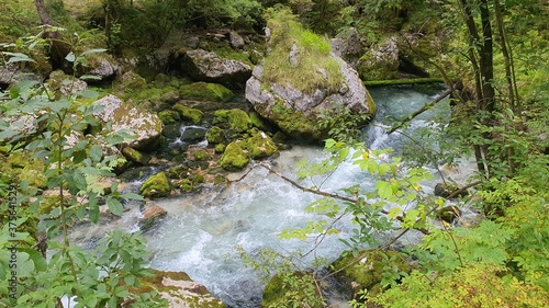 Wald Fluss Stein Gebirgsbach Steine Wildbach