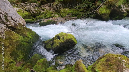 Wald Fluss Stein Gebirgsbach Steine Wildbach