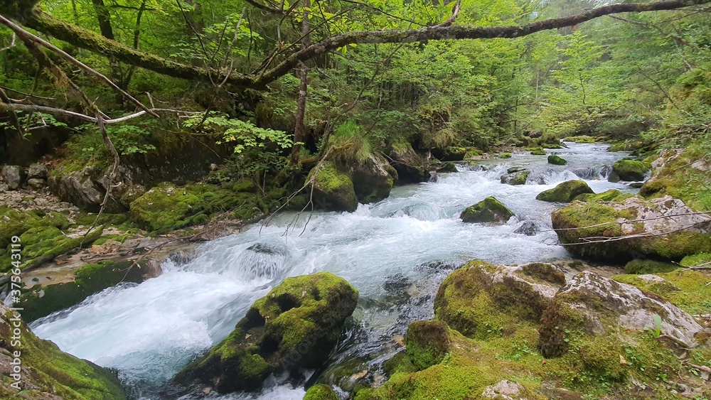 Wald Fluss Stein Gebirgsbach Steine Wildbach Wald Fluss Stein Gebirgsbach Steine Wildbach