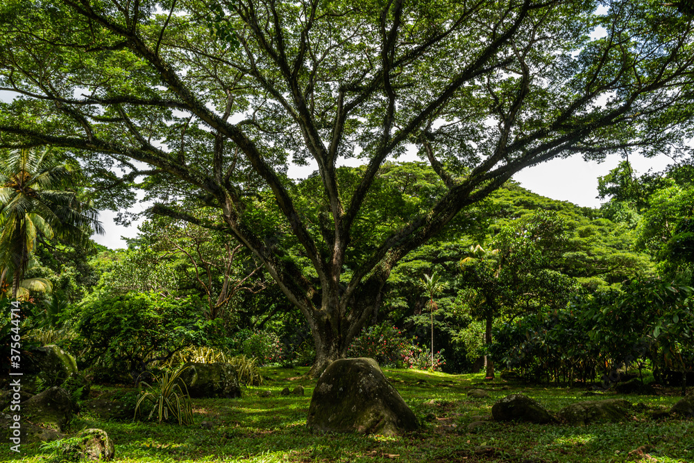 Voyage en Martinique 2020