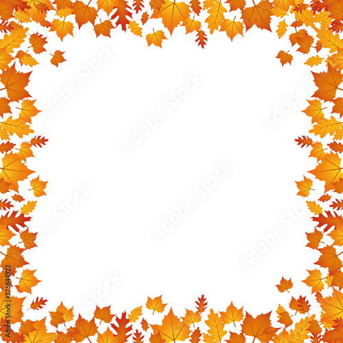 autumn leaves border isolated on white background vector illustration EPS10