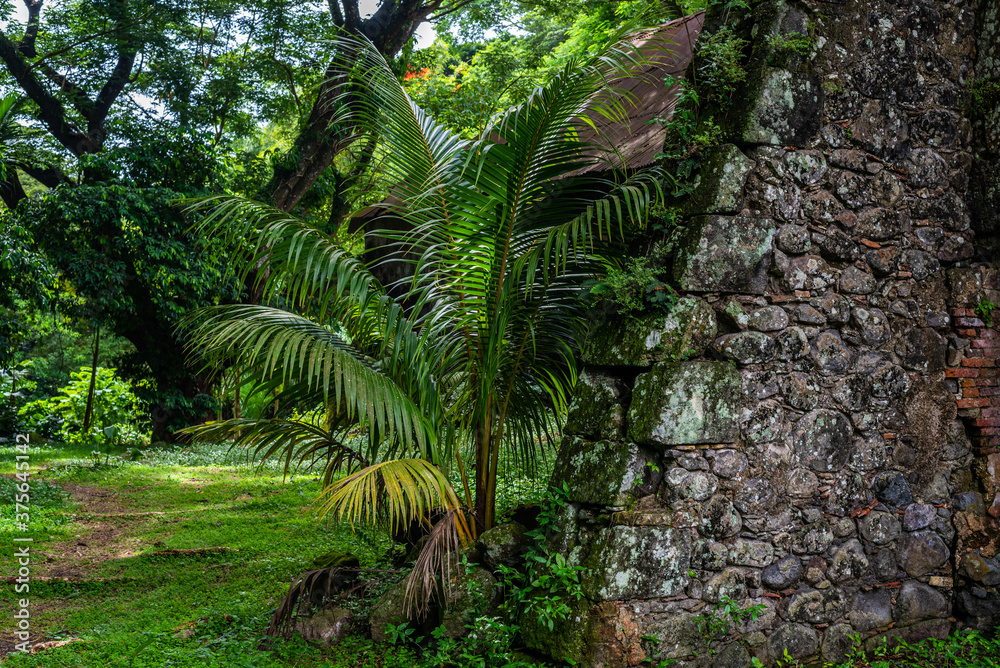 Voyage en Martinique 2020