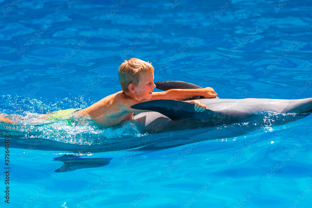 Happy little boy swimming with dolphins in Dolphinarium