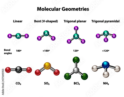 Molecular geometries in linear, bent, trigonal planar and pyramidal structures. Models and example elements, carbon dioxide, sulfur dioxide, boron trichloride, and ammonia. photo