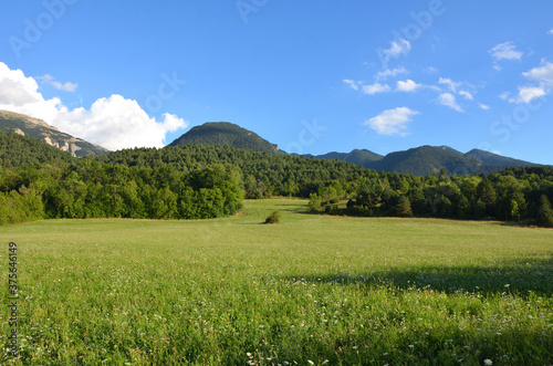 Green Meadow surrounded by Mountains in The Pyrenees Spanish Mountains