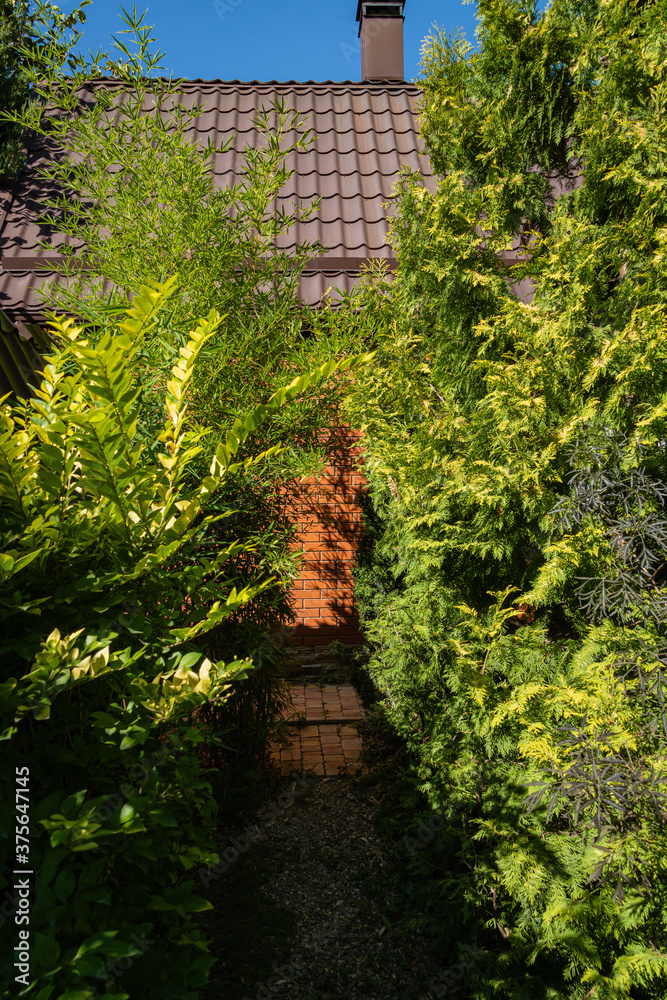 Country house inshade of evergreen and deciduous plants. Wall of house is made of red brick. Landscaped garden. Thuja occidentalis and tall bamboo trunks in foreground. North Caucasus.