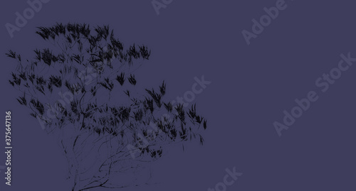 Abstract of leaves and branches