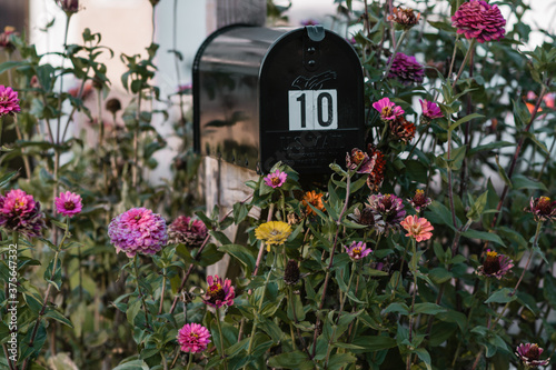 mailbox with flowers after the first frost