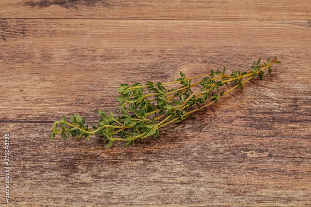 Aroma Fresh green thyme branch Aroma Fresh green thyme branch