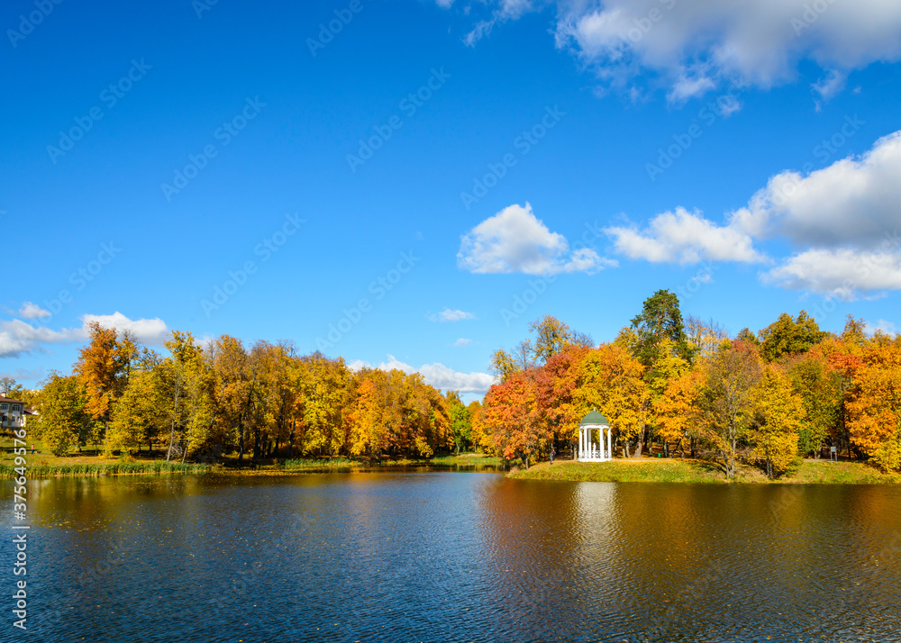 Autumn landscape with a pond in the foreground against blue sky