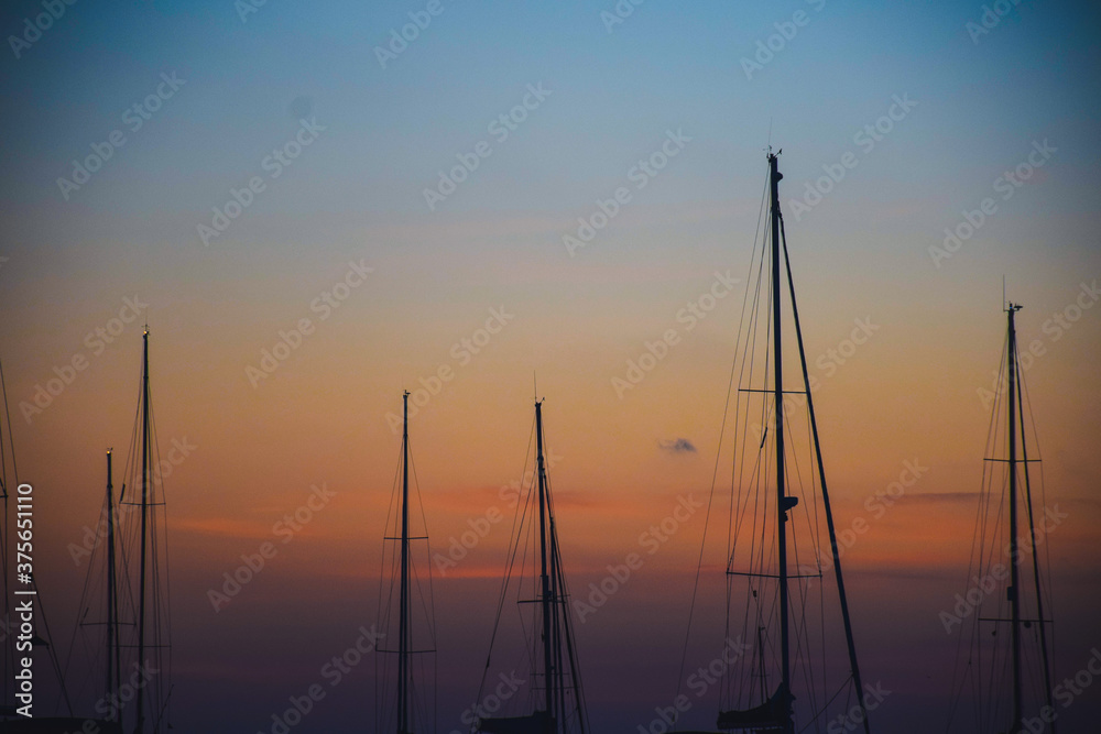 Masts of a group of sailing boats against the light at sunset