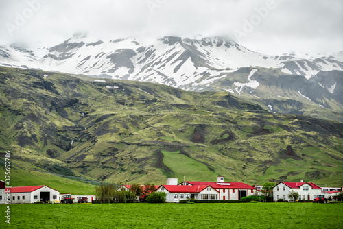 Landscape view of green field on cloudy day on southern ring road or golden circle and red roof farm houses in south Iceland and snowcapped mountains