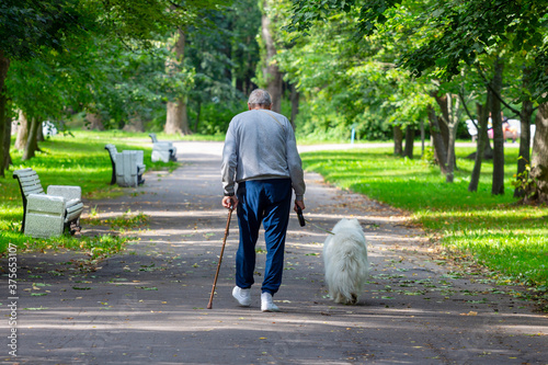 Elderly man walking a dog