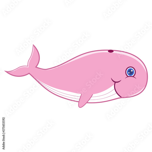 Cute cartoon pink whale vector. A hand drawn design on isolated white background.