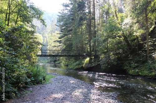 bridge over the river