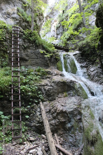 waterfall in the mountains