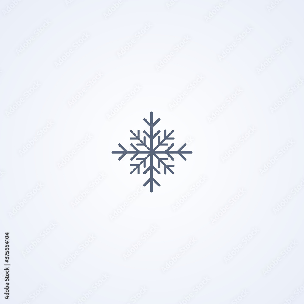Snowflake, vector best gray line icon