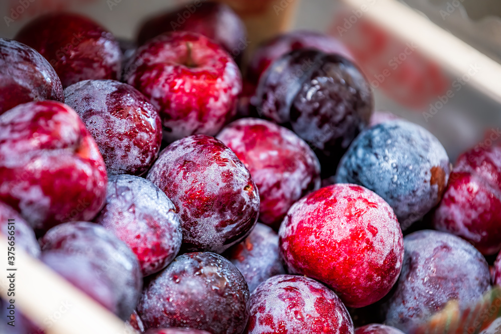 Φωτογραφία Closeup of fresh ripe blue purple red Italian plums in farmer's market in Orviet