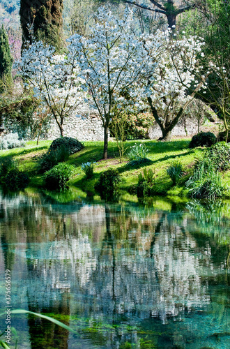 GIARDINO ALBERI FIORI