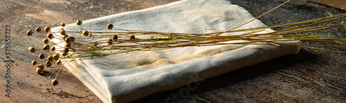 Bunch of dry flax plants on linen cloth