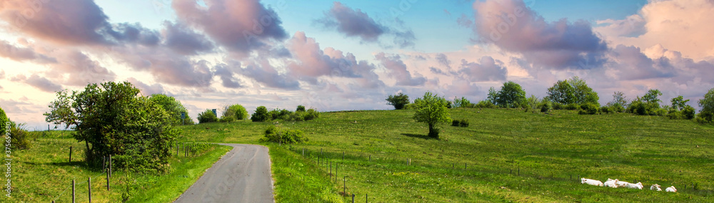 Naklejka premium panoramic view of green fields and trees and small road at sunset