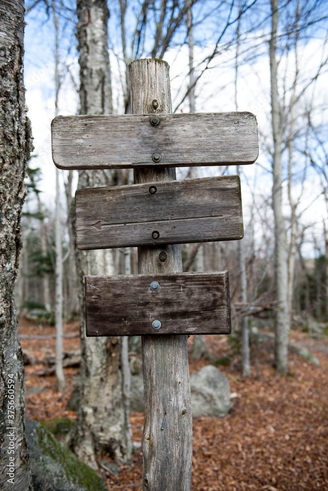 Old wooden signpost in the forest in autumn Old wooden signpost in the forest in autumn