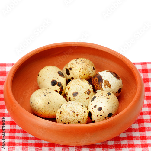 Guail eggs isolated on white background . Free space for text. photo