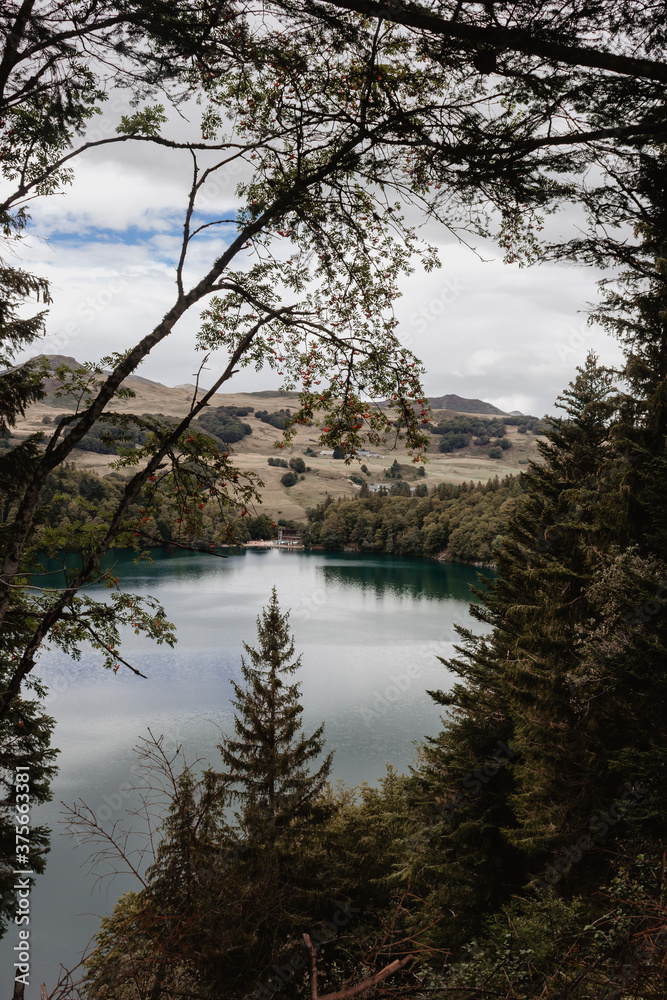 Fototapeta premium reflection of trees in the lake