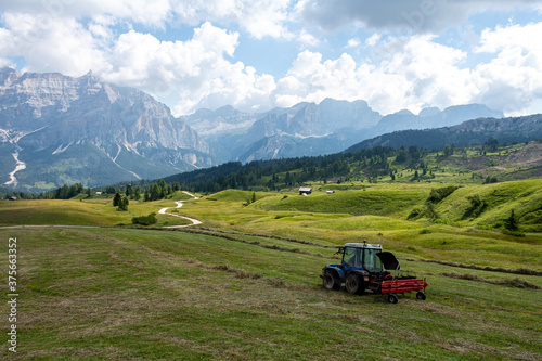 Aug 10th 2020 - Val Badia - South Tyrol, Italy: hay harvesting in mountain starts before the end of summer when grass is still green and days are warm. Lagazuoi mountain group is visible in the back