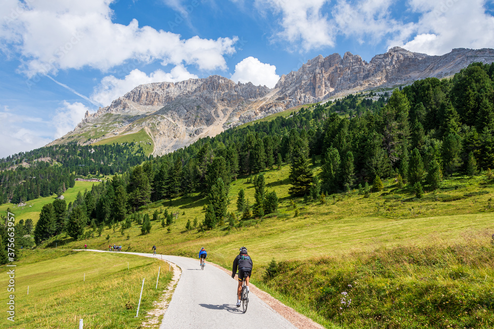 Mountain biker riding his bicycle on a trail going through green meadows in the Italian Alps. Dolomite peaks are visible in the background. Latemar, Trentino - Italy