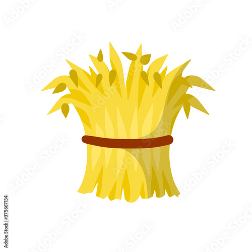 Sheaf of hay. Village harvest. Yellow dried plants. Production of natural food on the farm. Countryside is a Stack of wheat ears