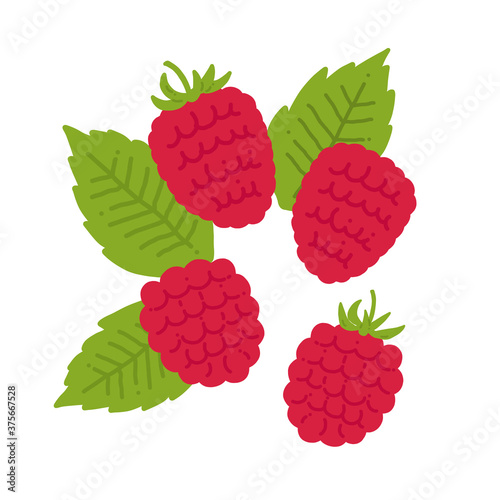 ラズベリーの手描きイラストアイコン raspberry flat illustration vector icon