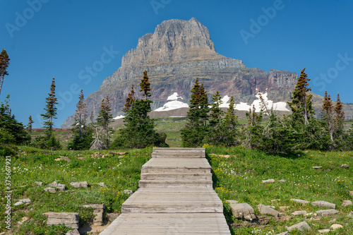 A boardwalk through an alpine meadow at the beginning of a trail nearby Logan Pass. Mount Oberlin is visible at the end of the path, still covered with snow. Glacier National Park, MT - USA photo