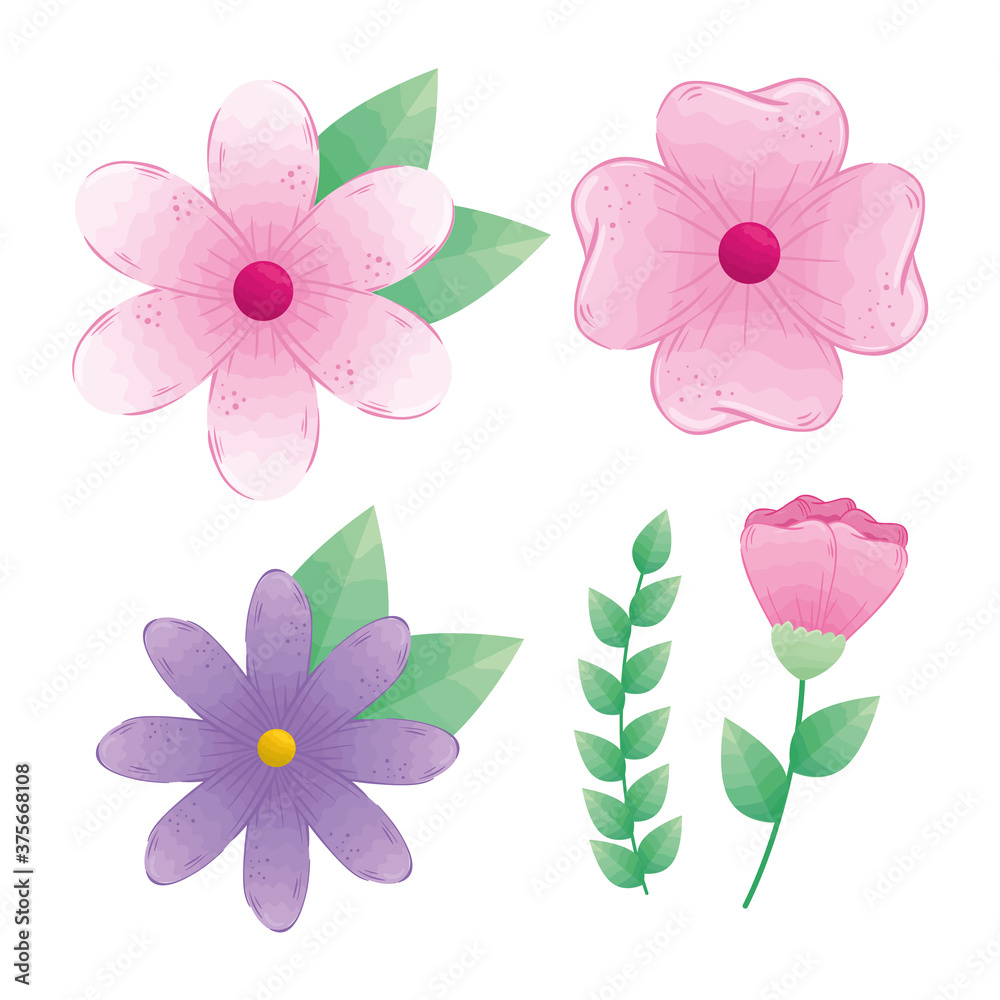 set of flowers pink and purple color with branches and leaves vector illustration design set of flowers pink and purple color with branches and leaves vector illustration design