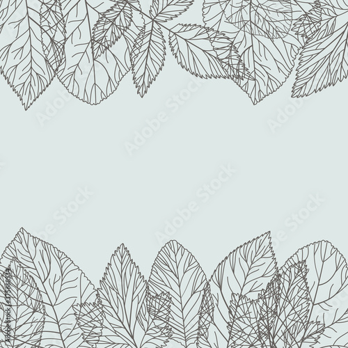 Border elements of leaves. Realistic leaves forma