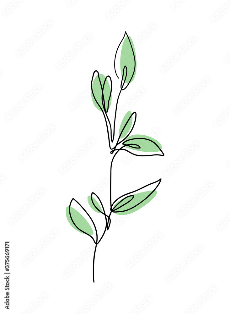 Branch with leaves continuous line drawing. Eucalyptus leaves One Line drawing art. Branch with leaves continuous line drawing. Eucalyptus leaves One Line drawing art.
